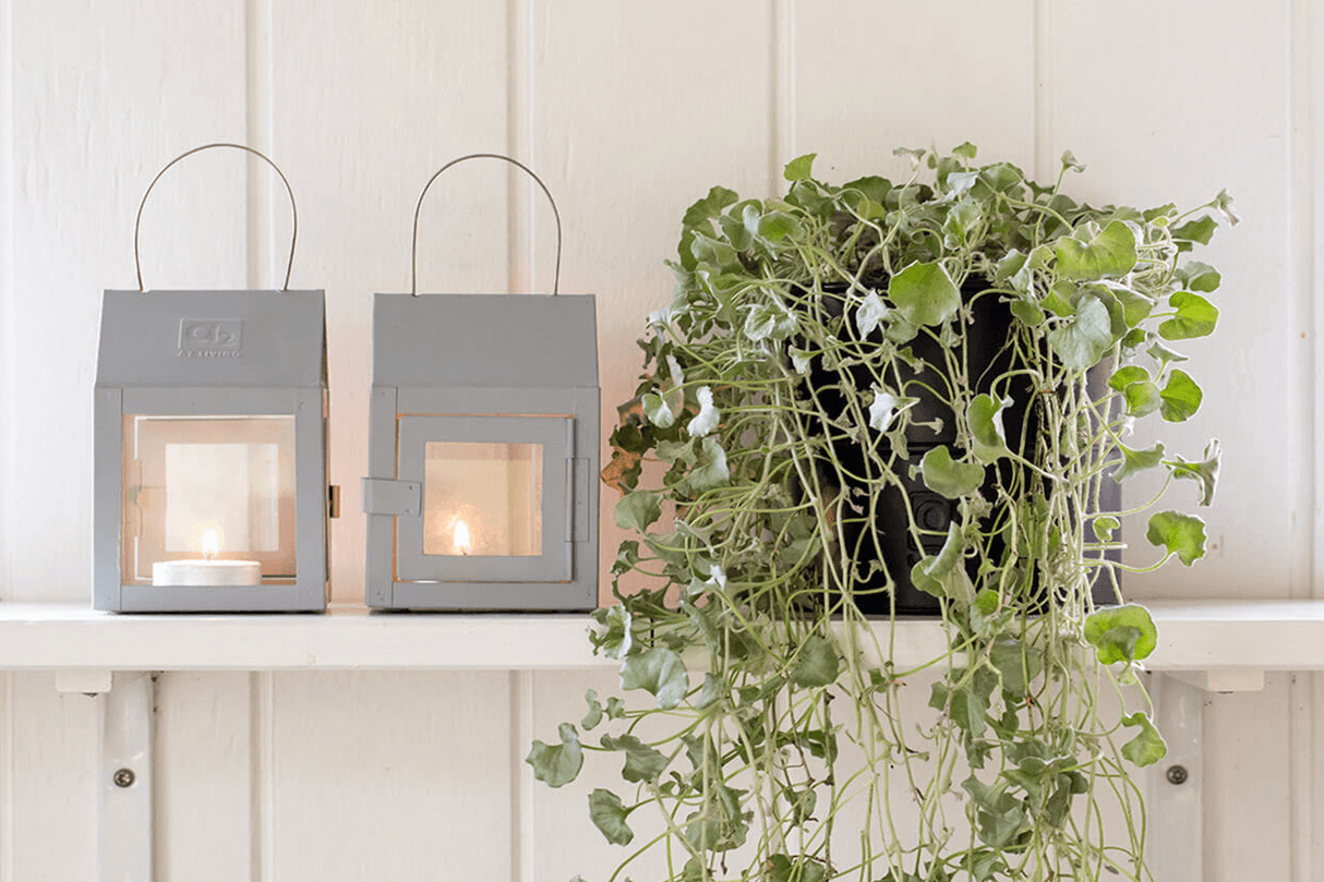 A2 living mini lantern with a handle