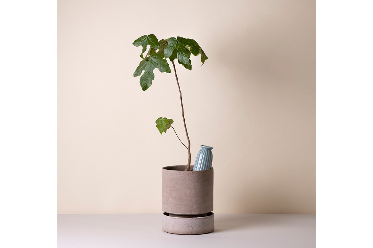 Cove ceramic watering tube for pots