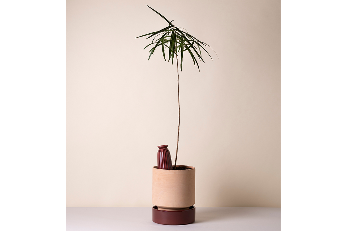 Cove ceramic watering tube for pots