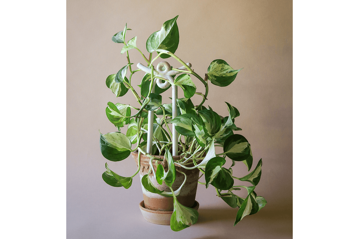 Folk Yuma ceramic plant stake