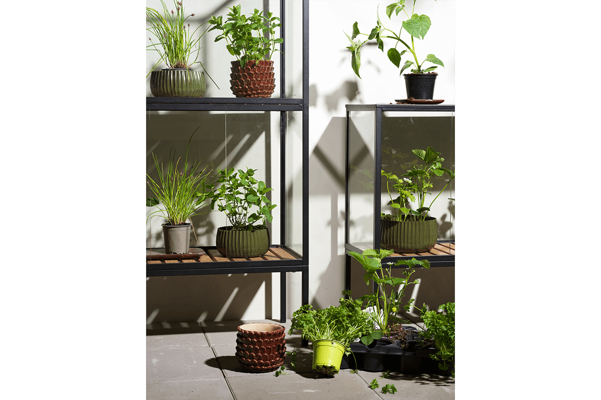 Greenhouse cabinet – small