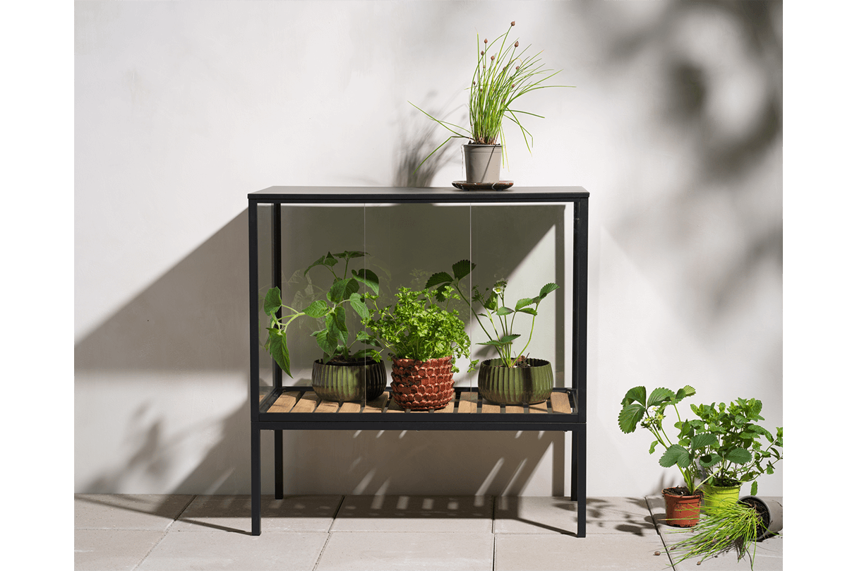 Greenhouse cabinet – small