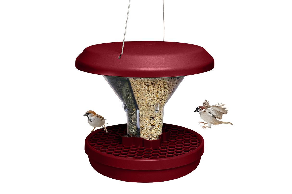 Davos bird feeder
