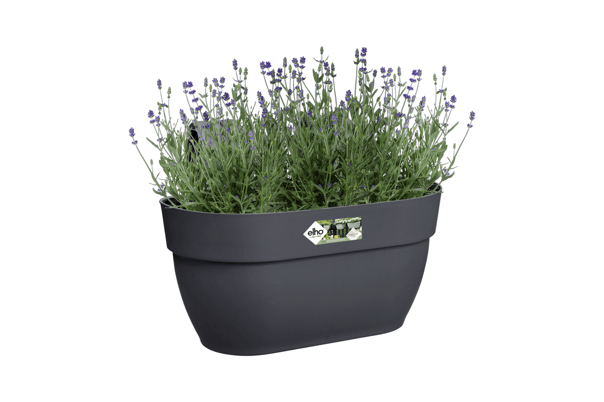 Vibia campana balcony flower box