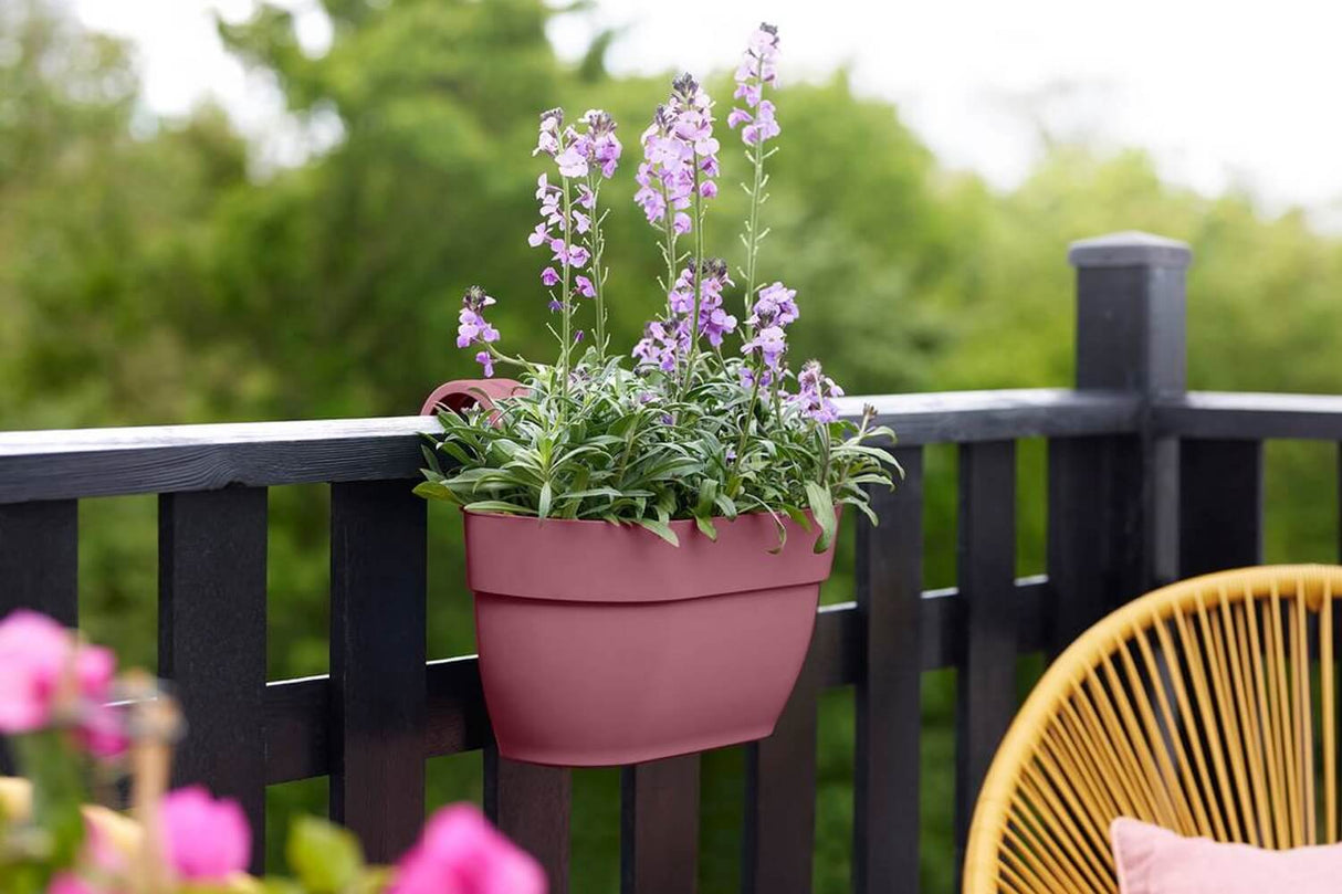 Vibia campana balcony flower box