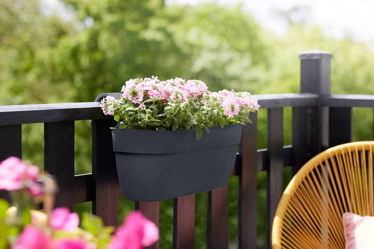 Vibia campana balcony flower box