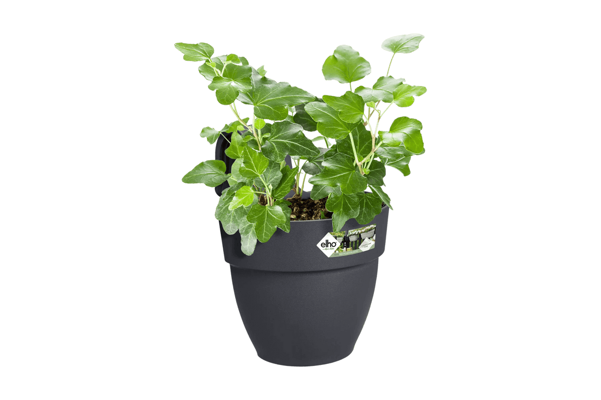 Vibia campana hanging flowerpot