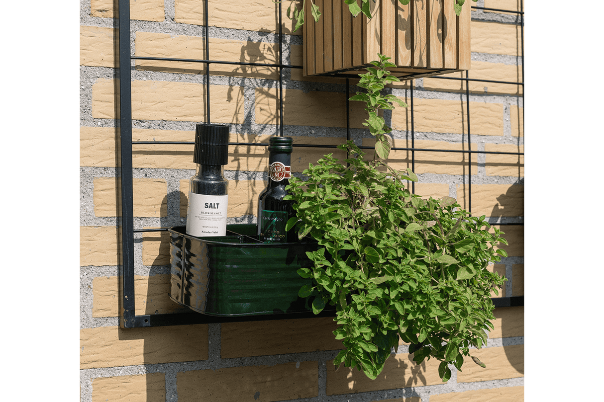 Fie plant box for grid 32 x 16 cm