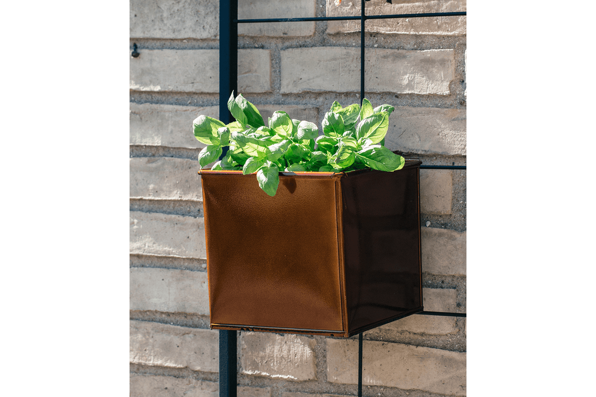 Fiona copper plant box for wall grid 14 x 14 / 17 x 17 cm