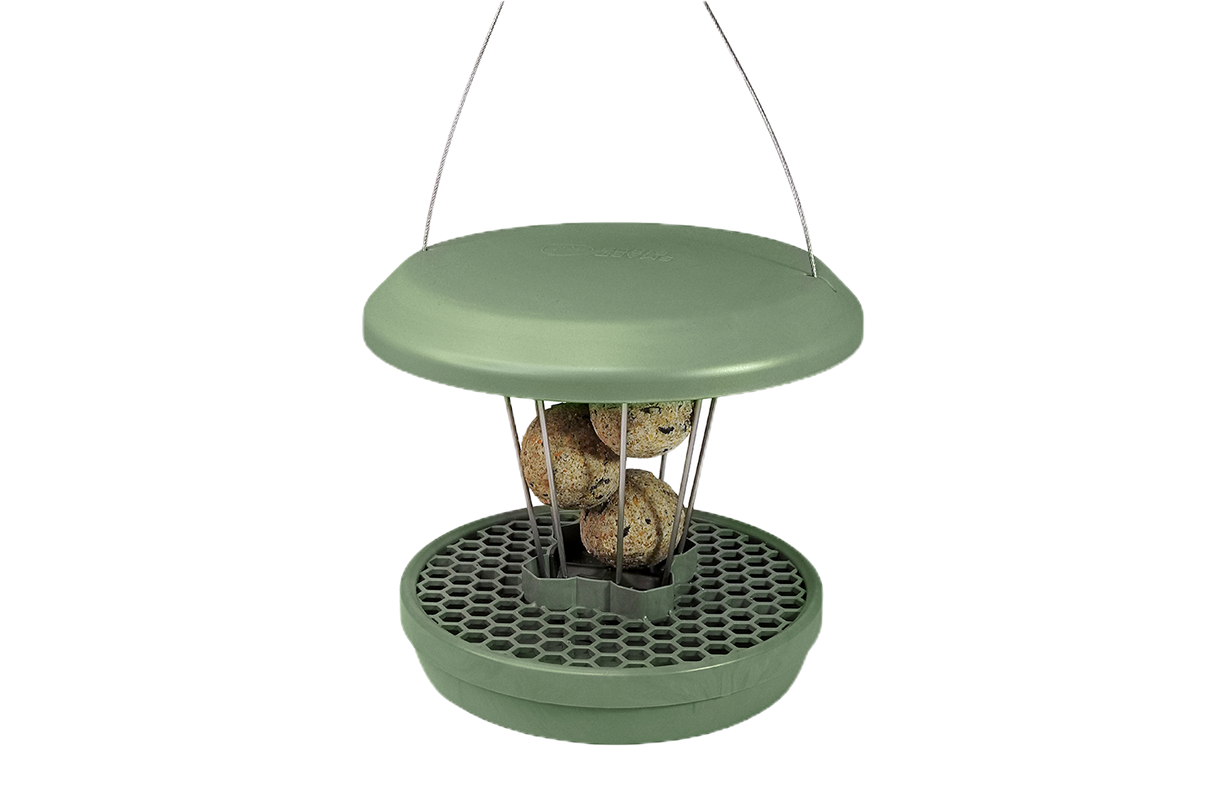 Lucerne bird feeder