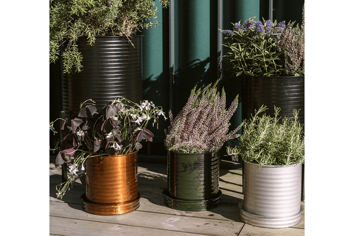 Rita Rillo flowerpot Ø17 cm