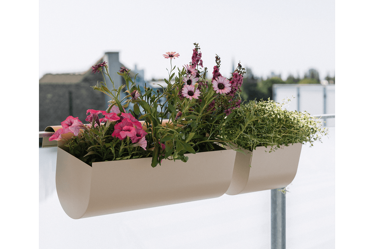 Uma balcony flower box