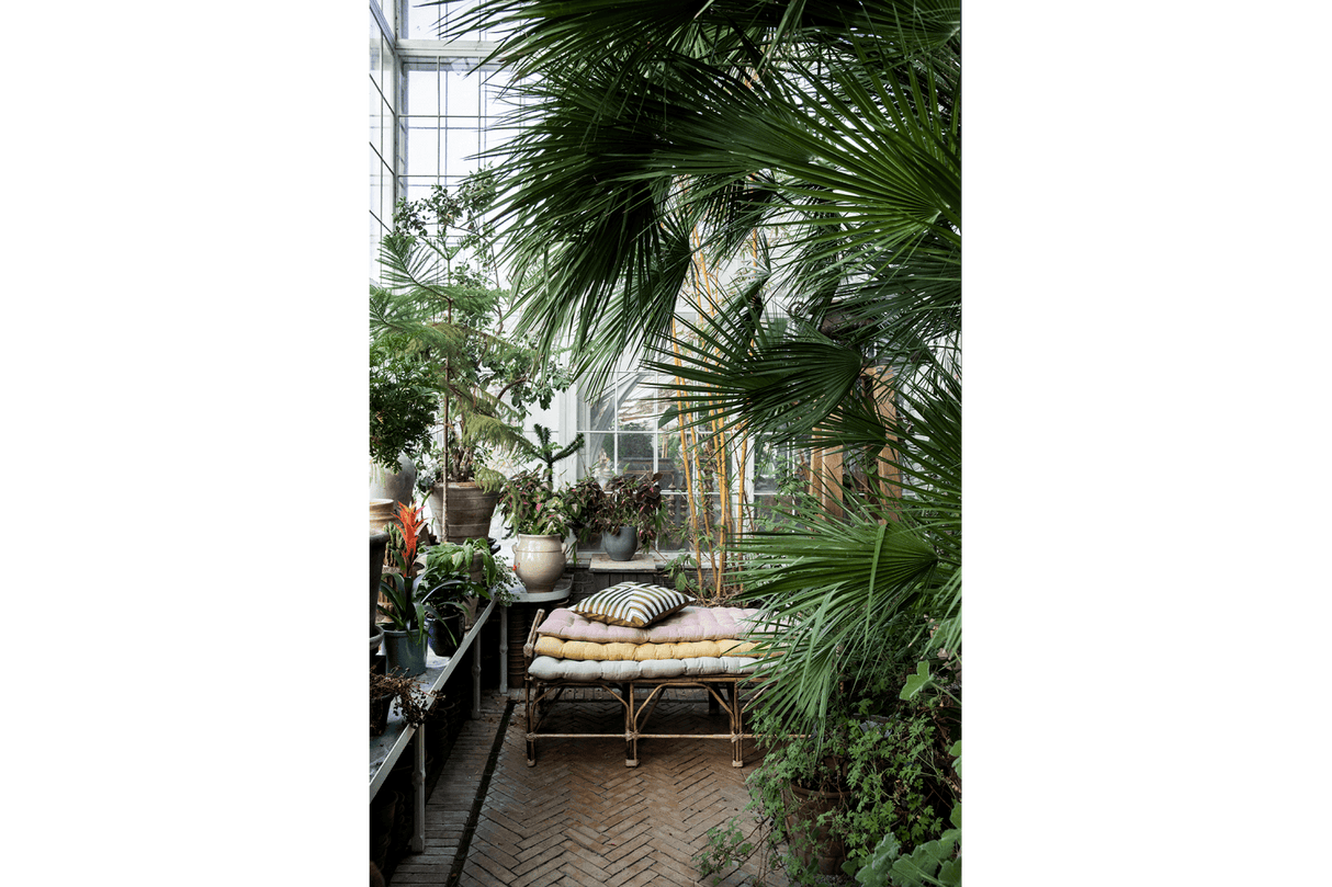 Mirra bench cushion 55 x 150 cm