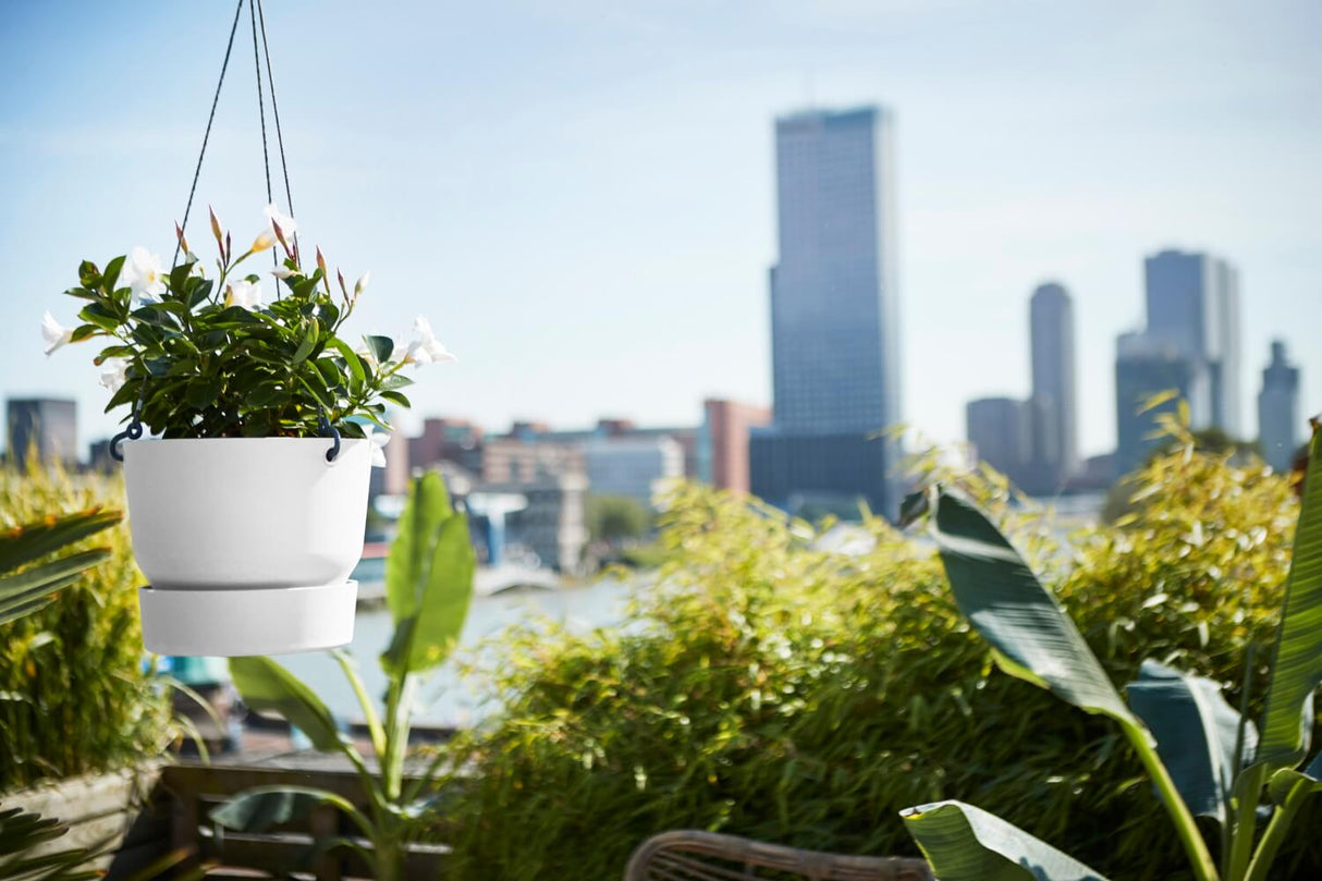 Greenville hanging flowerpot Ø24 cm