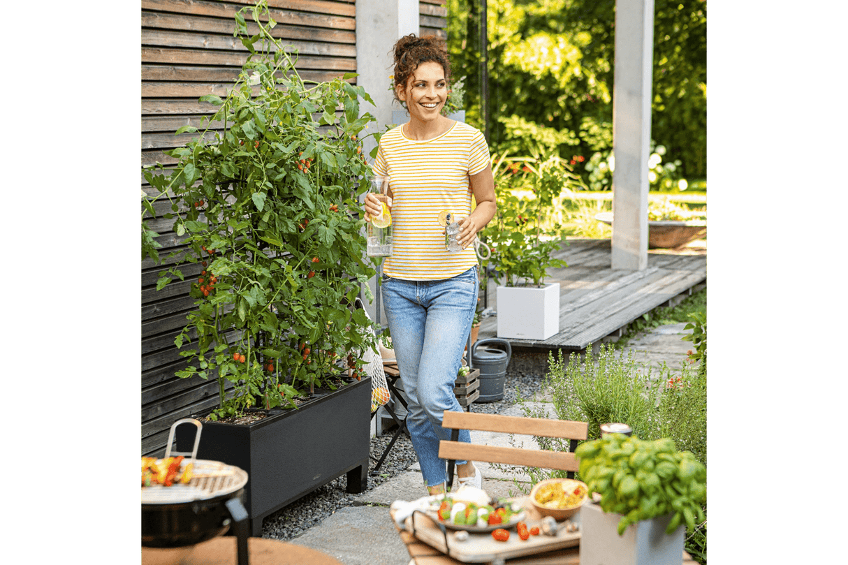 Trellis for Trio stone planter