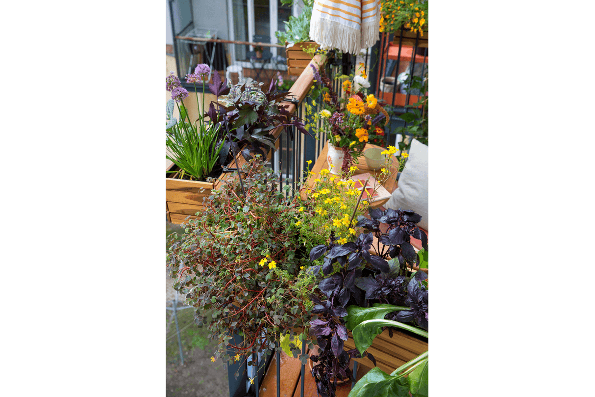 Maja teak balcony flower box 40 / 60 / 80 cm