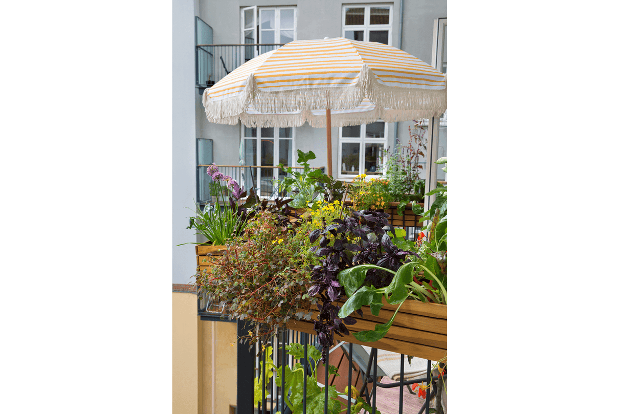 Maja teak balcony flower box 40 / 60 / 80 cm