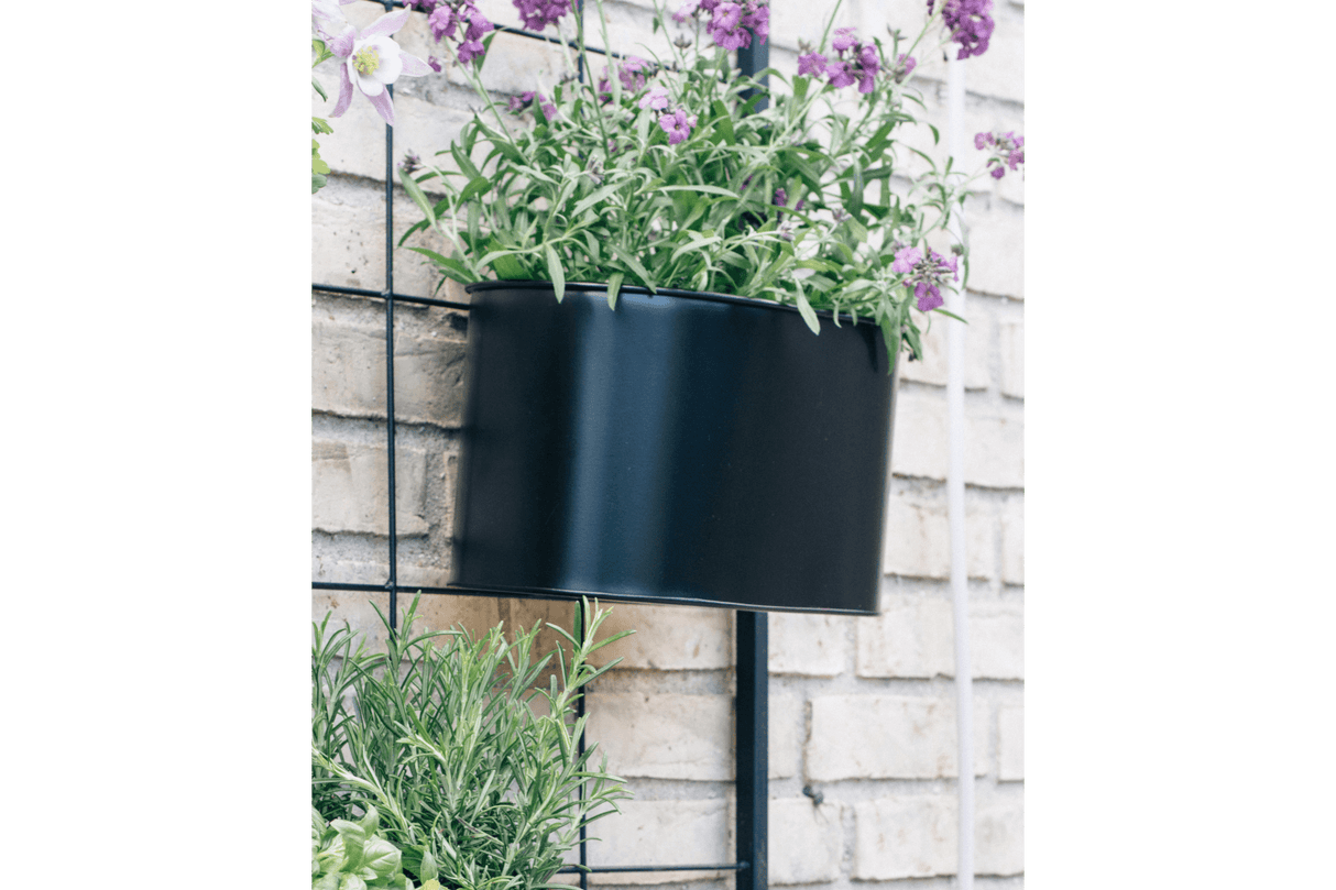 Ovalina black plant box for wall grid 30 x 17 cm