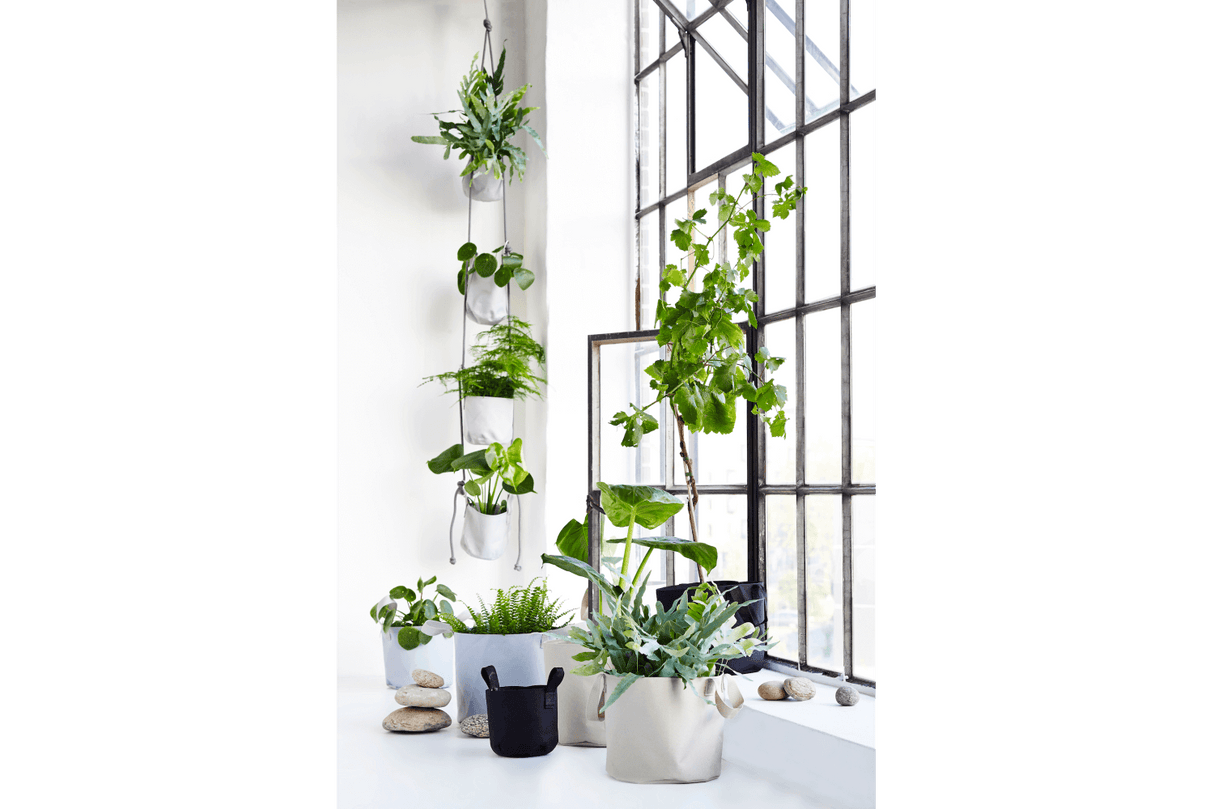 Single hanging flowerpot