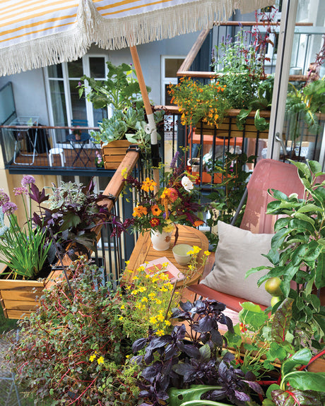 Springtime on the balcony!