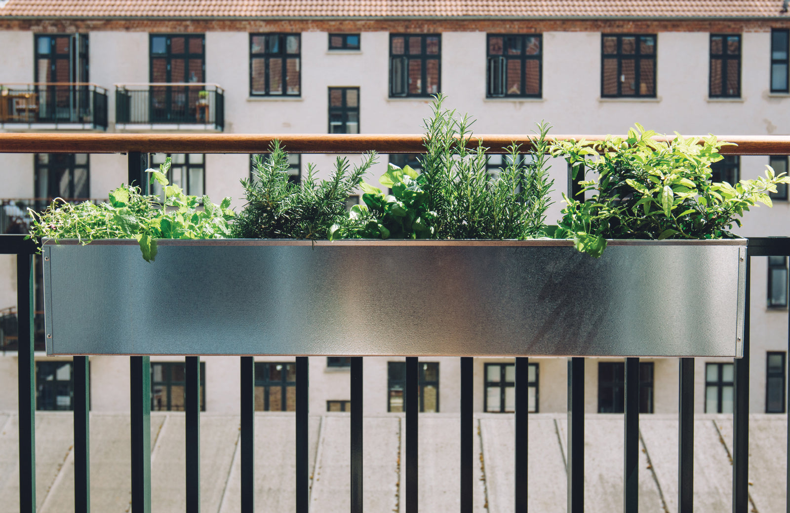 Kick-start the balcony box season