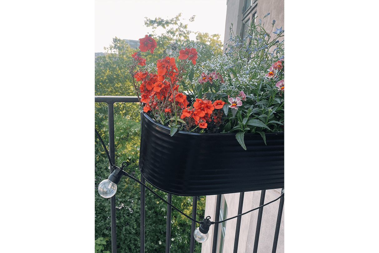 Olga black balcony flower box 60 cm