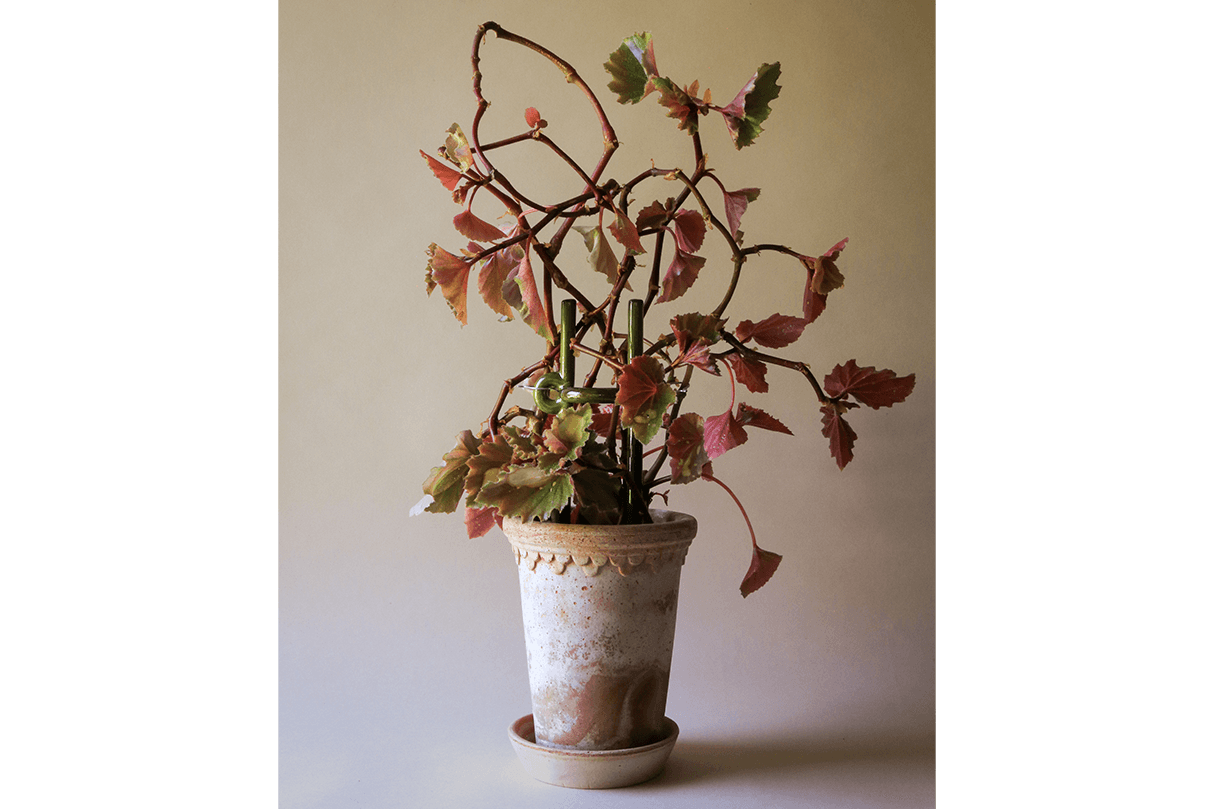 Folk Hinto ceramic plant stake