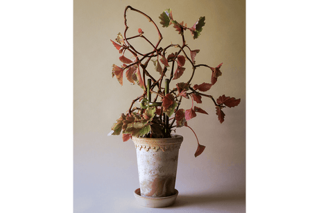 Folk Hinto ceramic plant stake