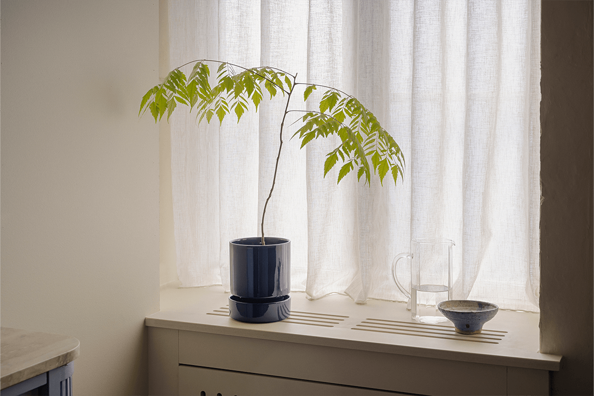 Hoff GLAZED Sapphire Blue set