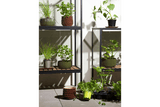 Greenhouse cabinet – small