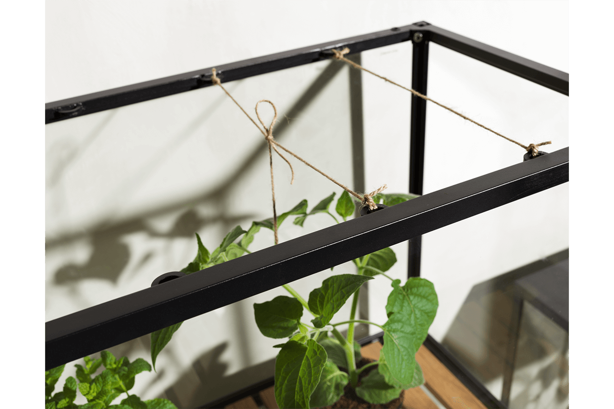 Greenhouse cabinet – large