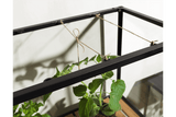Greenhouse cabinet – large