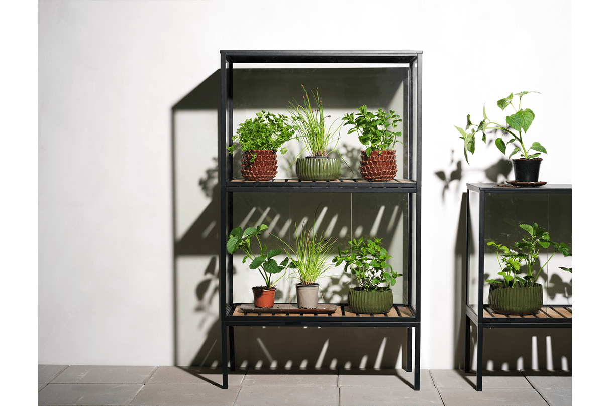 Greenhouse cabinet – large