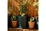 Climate flowerpot green