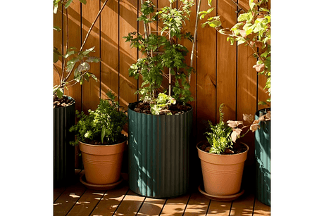 Climate flowerpot green