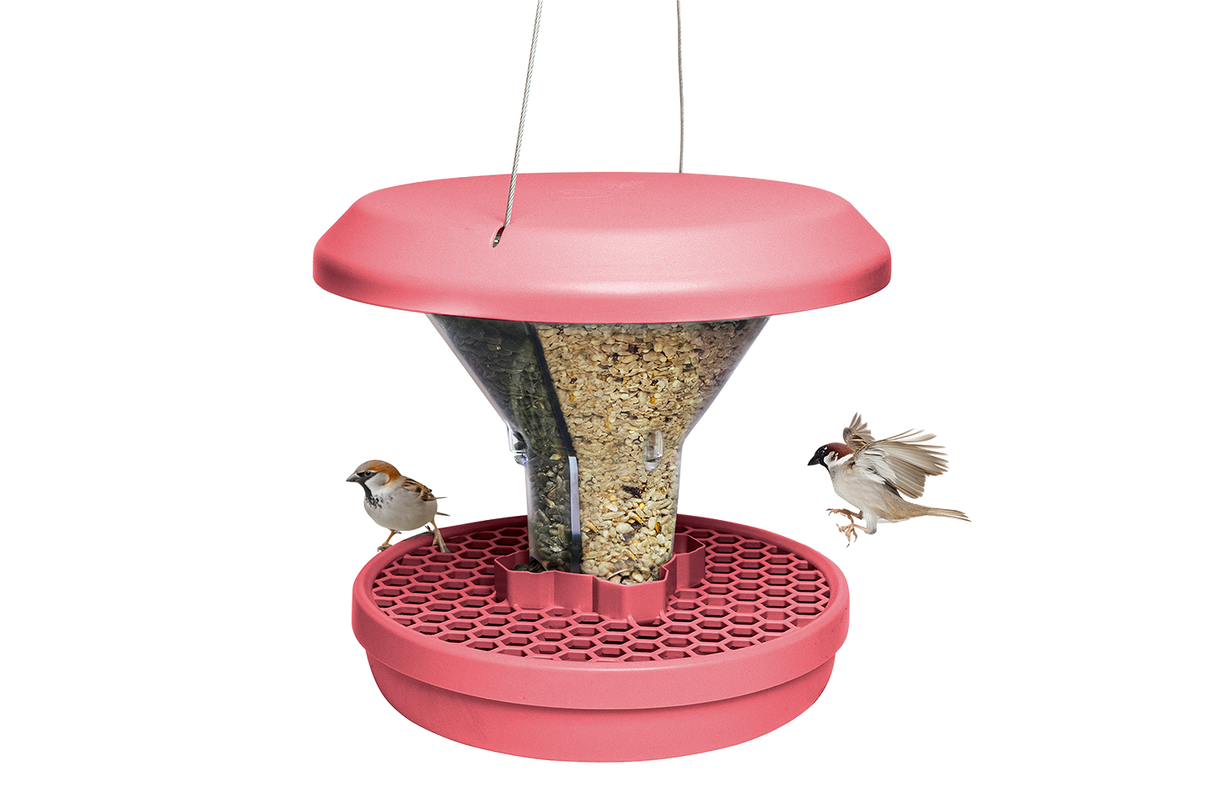 Davos bird feeder