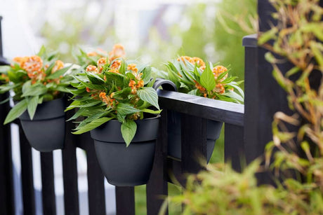 Vibia campana double flowerpot