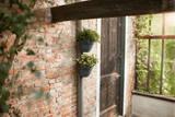 Vibia campana flowerpot for drainpipes