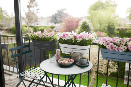 Vibia campana trough balcony flower box all-in-1 50 / 70 cm