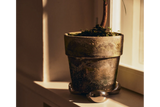Nube planter feet