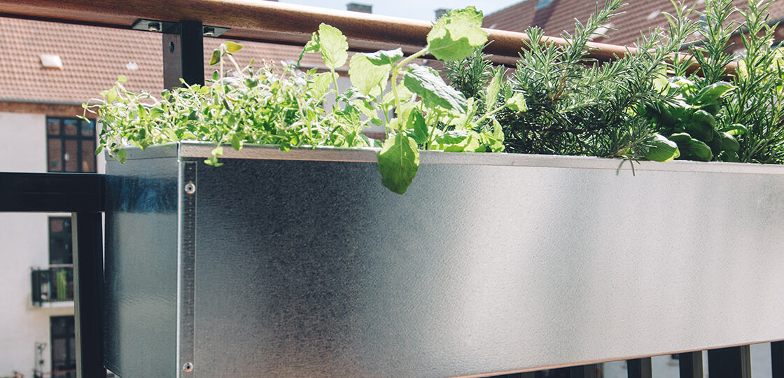 Liva galvanized balcony flower box with self-watering system 60 / 80 / 100 cm