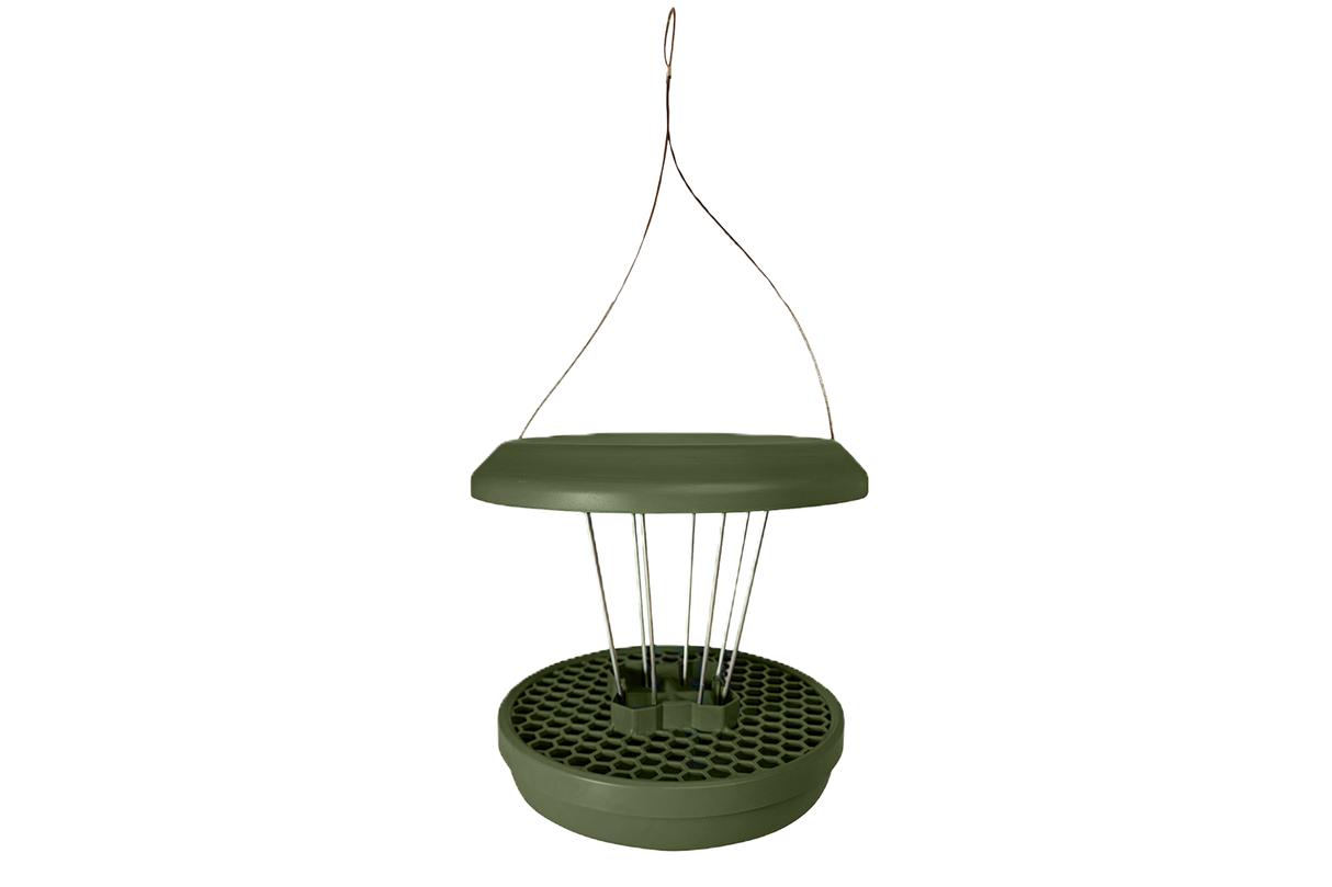 Lucerne bird feeder