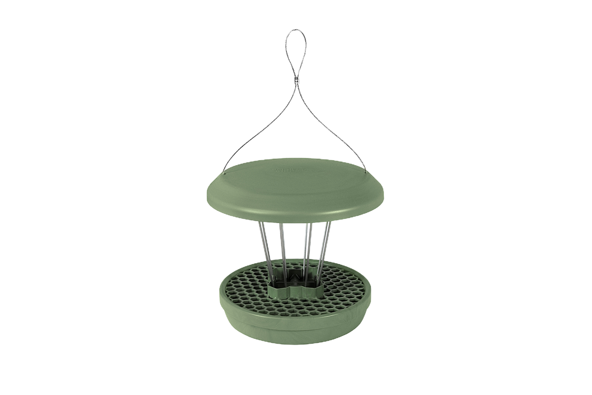 Lucerne bird feeder
