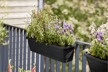 Noa balcony box with a self watering system 65 cm