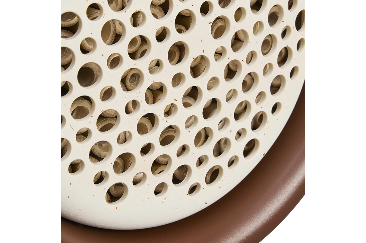 Organic bee hotel