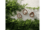 Organic bee hotel