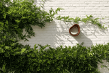 Organic bird feeder