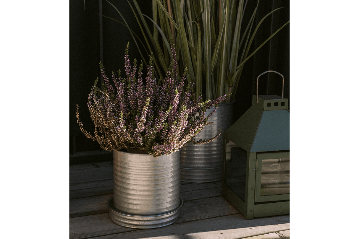 Rita Rillo flowerpot Ø17 cm