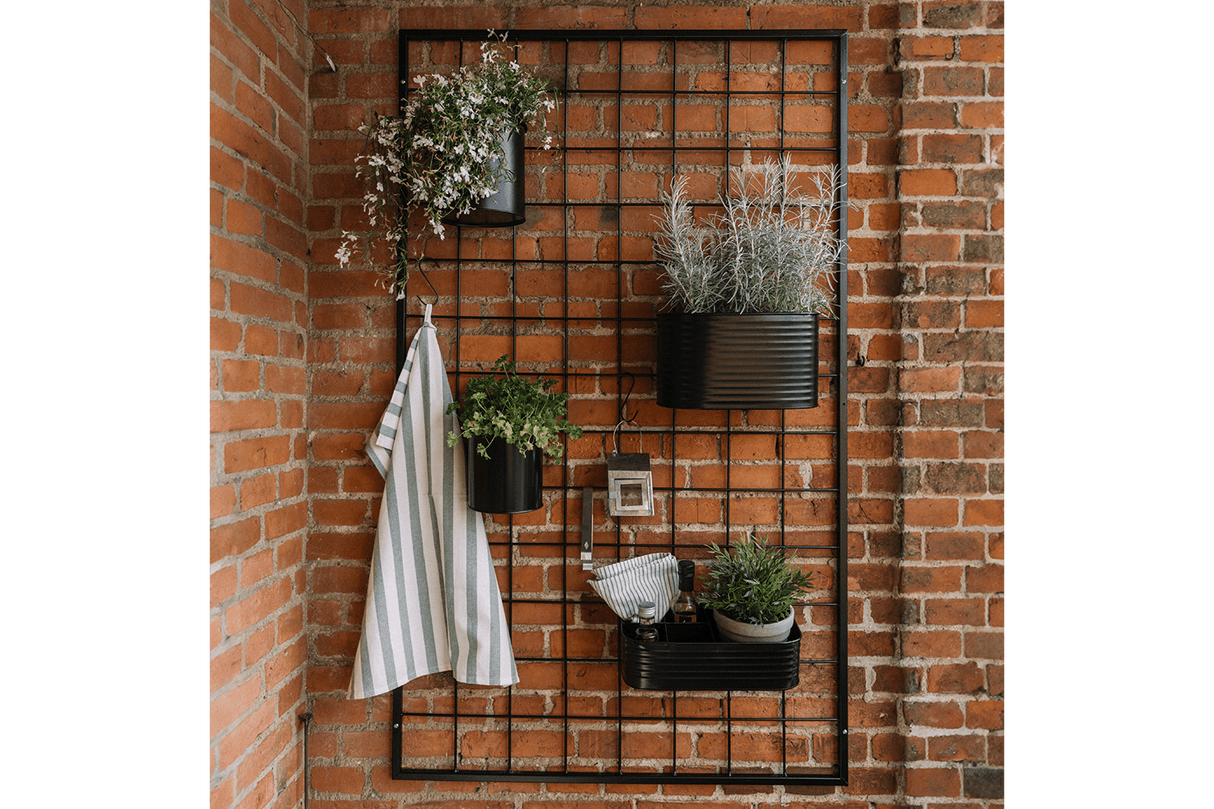 Fie plant box for grid 32 x 16 cm