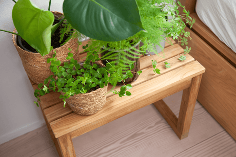 Vega stool 55 x 40 cm